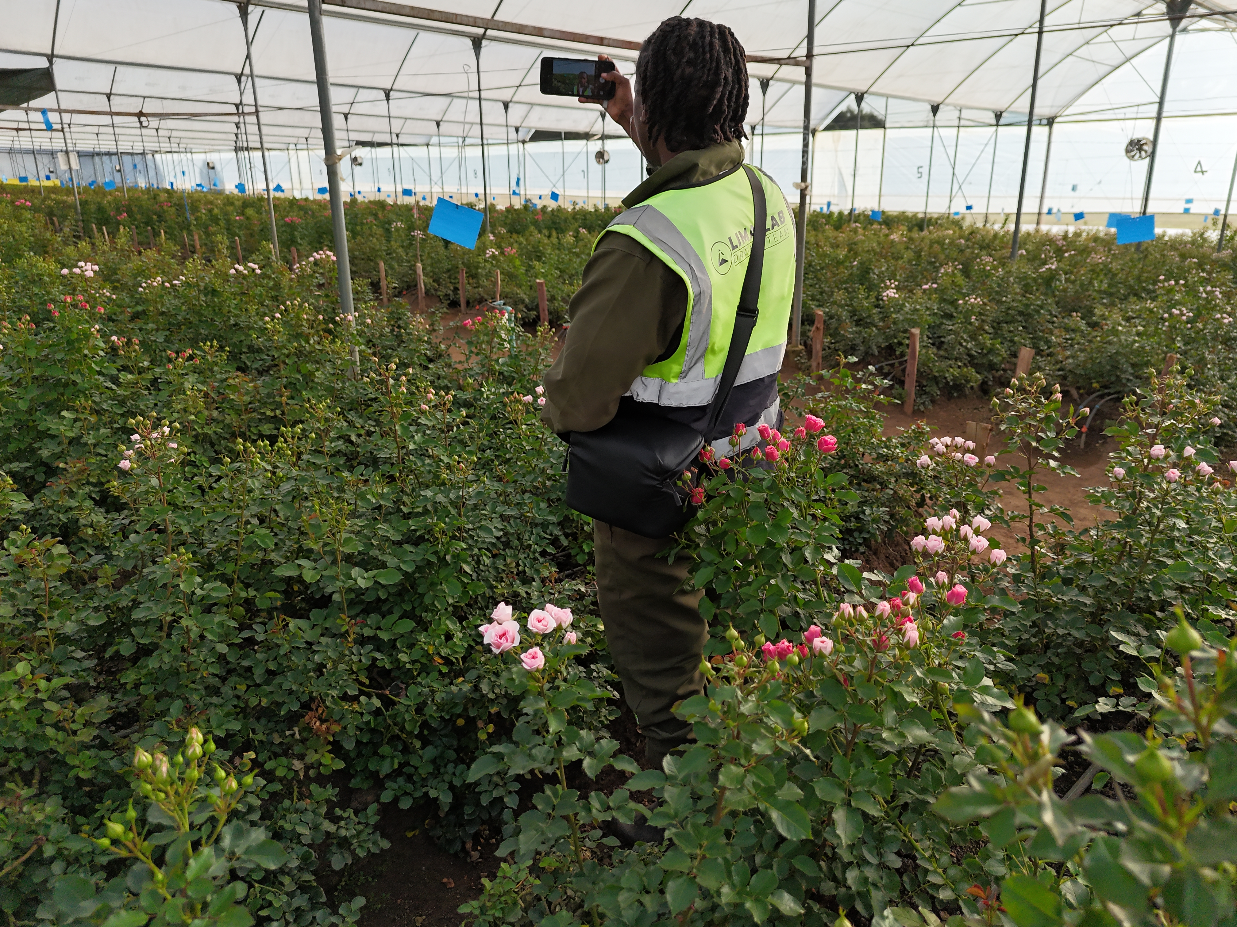 NDVI drone crop health monitoring